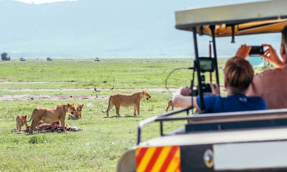 Uganda Trek & Kenya Safari