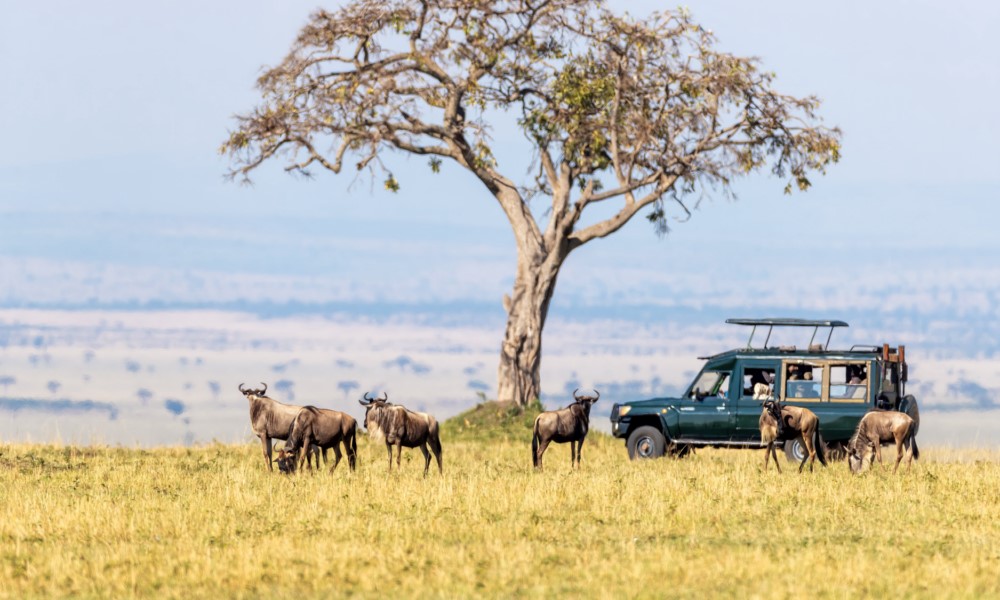 Uganda Trek & Serengeti Safari